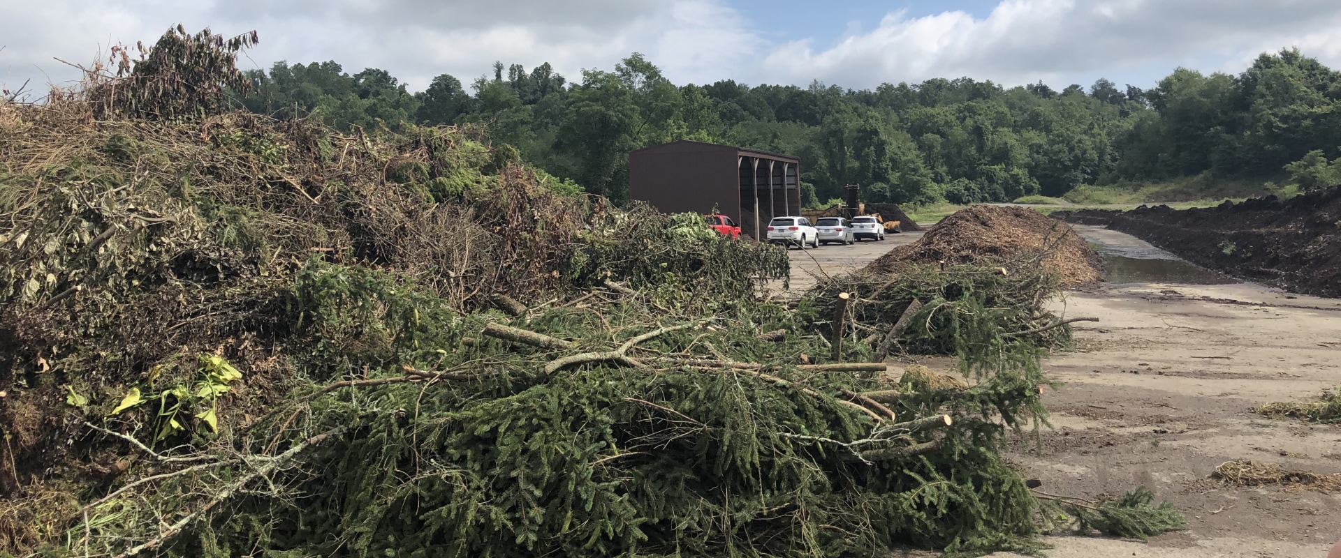 Tree care Wellston, Ohio Wellston Tree Service