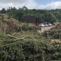 Tree Health Monitoring and Assessment Services in Wellston, Ohio