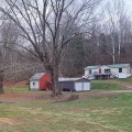 When is the Best Time to Have Tree Care Services in Wellston, Ohio?