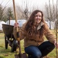 Tree Planting and Transplanting Services in Wellston, Ohio