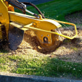 Saying Goodbye To Stumps: Why Stump Grinding Is A Must After Tree Service In Pembroke Pines
