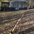 Tree Removal Services in Wellston, Ohio: What You Need to Know