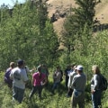 Forest Stewardship Planning and Implementation Services in Wellston, Ohio