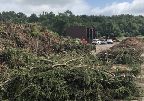 Tree Health Monitoring and Assessment Services in Wellston, Ohio