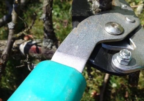 Tree Pruning and Trimming Services in Wellston, Ohio