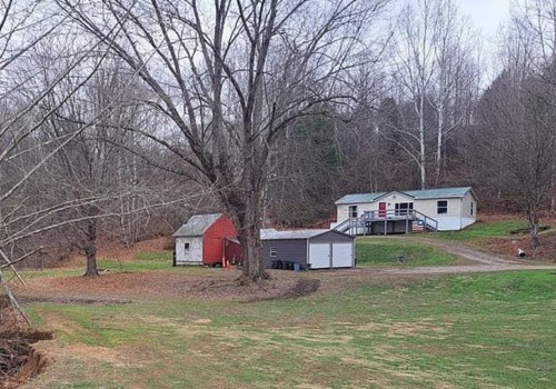 When is the Best Time to Have Tree Care Services in Wellston, Ohio?