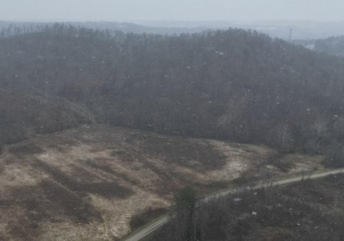 What is the Cost of Tree Care Services in Wellston, Ohio?