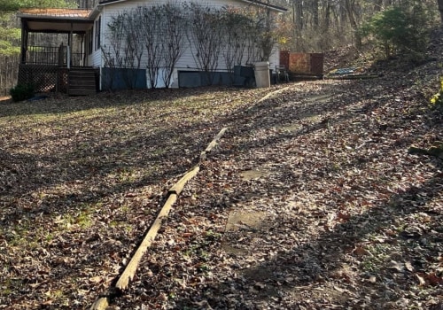What Qualifications Do Tree Care Professionals in Wellston, Ohio Have?
