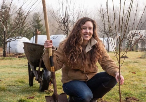 Tree Planting and Transplanting Services in Wellston, Ohio