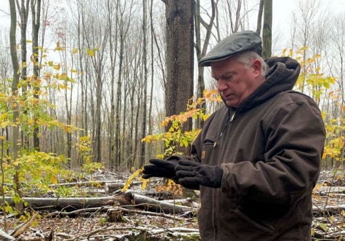 Woodlot Management and Timber Harvesting Services in Wellston, Ohio