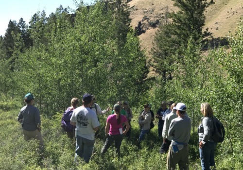 Forest Stewardship Planning and Implementation Services in Wellston, Ohio