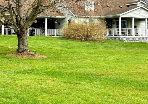Tree Care Services in Wellston, Ohio: What You Need to Know