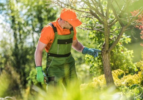 Deep Root Fertilization Services in Wellston, Ohio